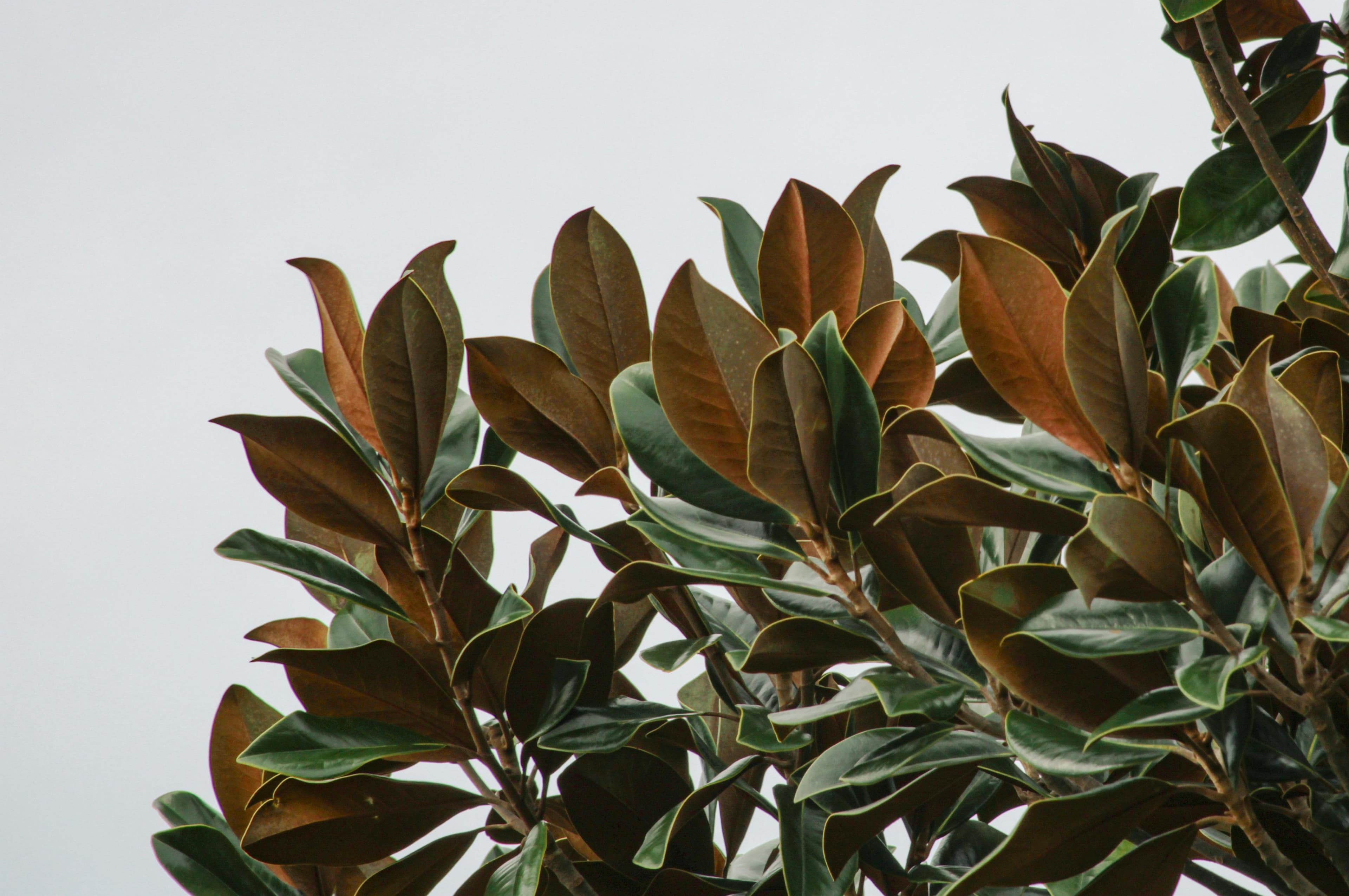 Coastal winter porch styling in North County San Diego
